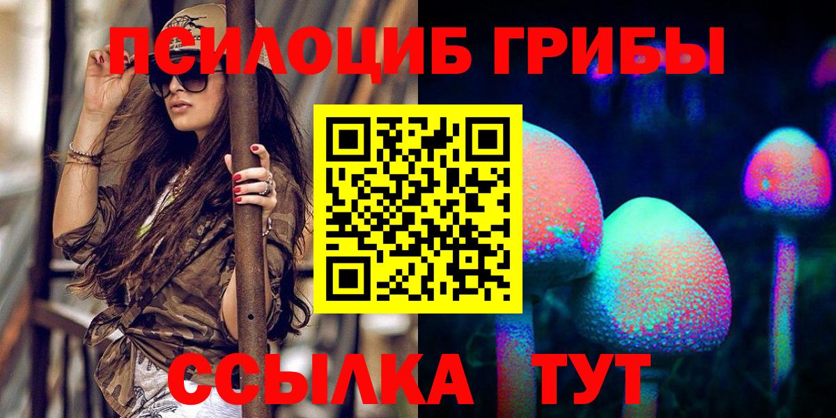 Галлюциногенные грибы Cubensis  Вход с VPN  Луга 
